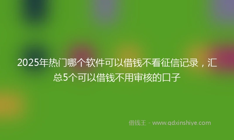 2025年热门哪个软件可以借钱不看征信记录，汇总5个可以借钱不用审核的口子