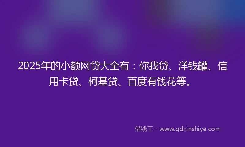 2025年的小额网贷大全有：你我贷、洋钱罐、信用卡贷、柯基贷、百度有钱花等。