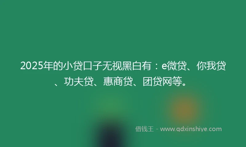 2025年的小贷口子无视黑白有：e微贷、你我贷、功夫贷、惠商贷、团贷网等。