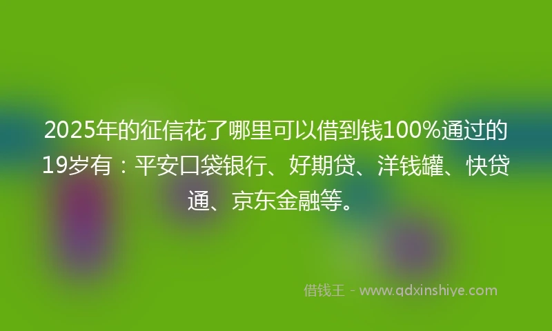 2025年的征信花了哪里可以借到钱100%通过的19岁有：平安口袋银行、好期贷、洋钱罐、快贷通、京东金融等。