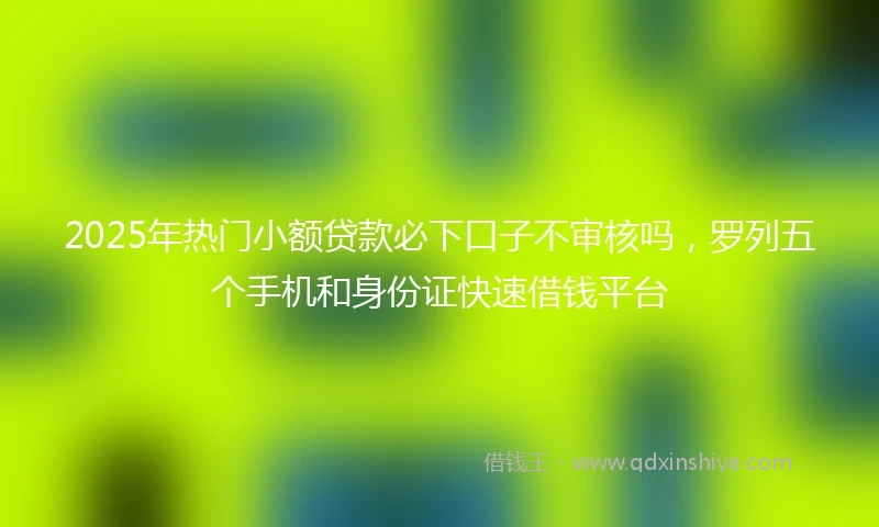 2025年热门小额贷款必下口子不审核吗，罗列五个手机和身份证快速借钱平台