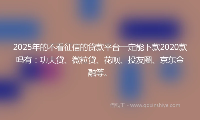 2025年的不看征信的贷款平台一定能下款2020款吗有：功夫贷、微粒贷、花呗、投友圈、京东金融等。