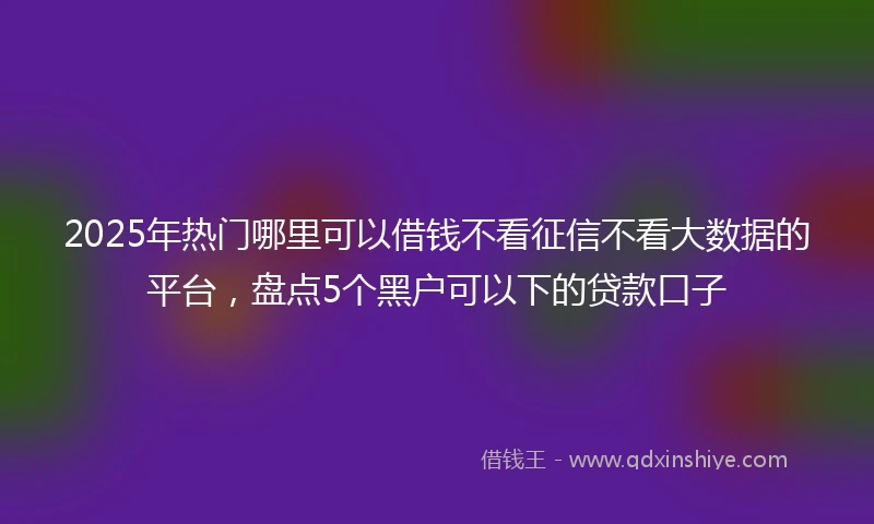 2025年热门哪里可以借钱不看征信不看大数据的平台，盘点5个黑户可以下的贷款口子