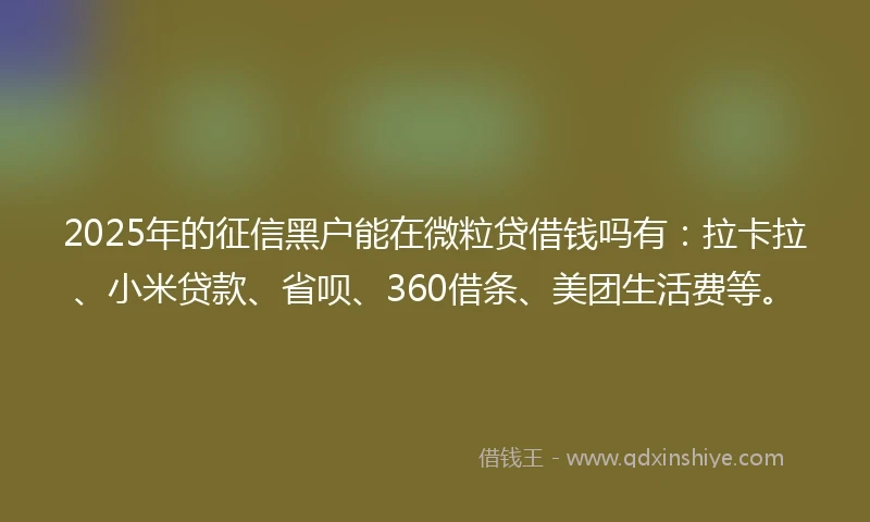 2025年的征信黑户能在微粒贷借钱吗有：拉卡拉、小米贷款、省呗、360借条、美团生活费等。