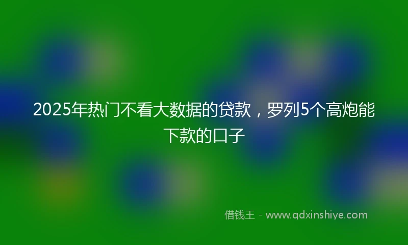 2025年热门不看大数据的贷款，罗列5个高炮能下款的口子