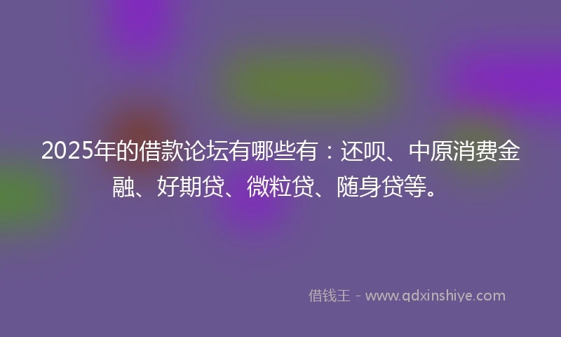 2025年的借款论坛有哪些有：还呗、中原消费金融、好期贷、微粒贷、随身贷等。