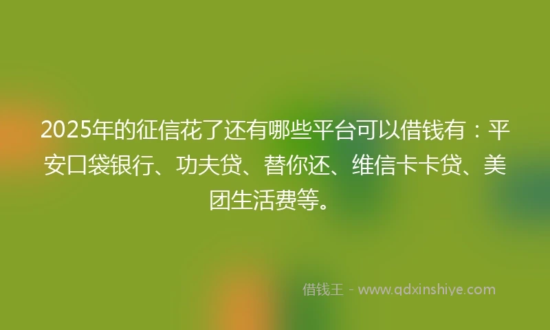 2025年的征信花了还有哪些平台可以借钱有：平安口袋银行、功夫贷、替你还、维信卡卡贷、美团生活费等。