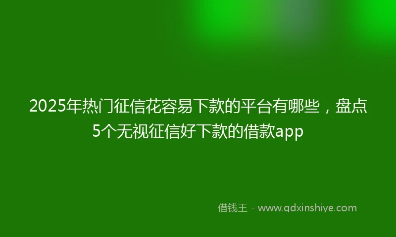 2025年热门征信花容易下款的平台有哪些，盘点5个无视征信好下款的借款app
