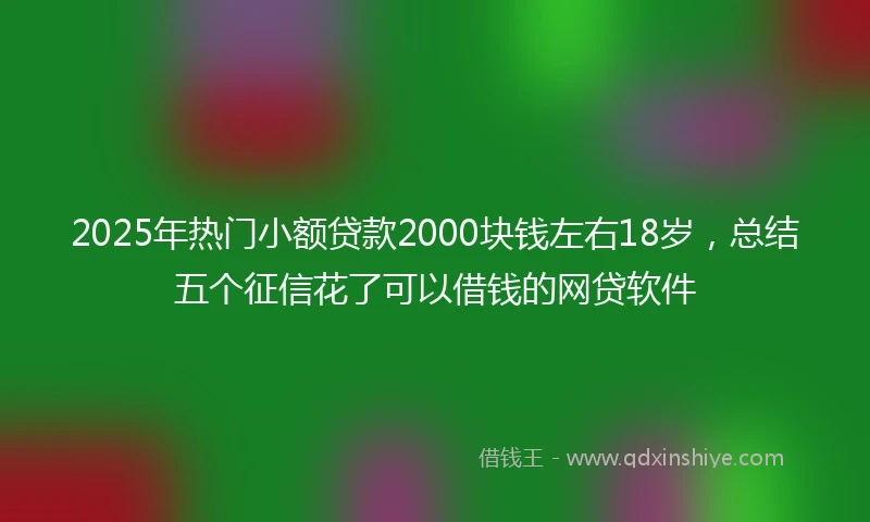 2025年热门小额贷款2000块钱左右18岁，总结五个征信花了可以借钱的网贷软件