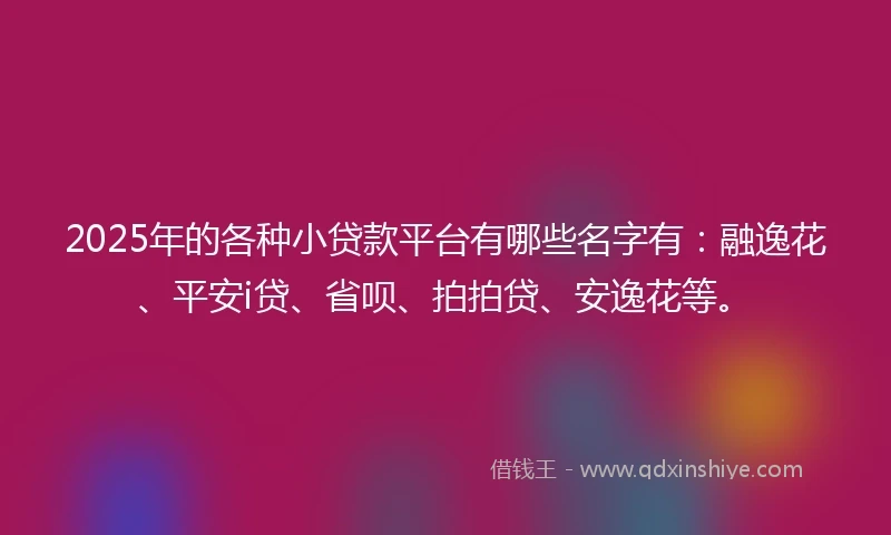 2025年的各种小贷款平台有哪些名字有：融逸花、平安i贷、省呗、拍拍贷、安逸花等。