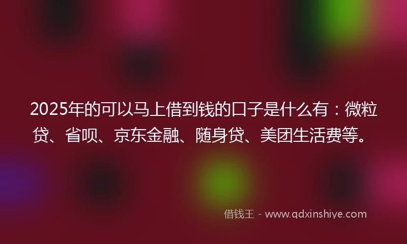 2025年的可以马上借到钱的口子是什么有：微粒贷、省呗、京东金融、随身贷、美团生活费等。