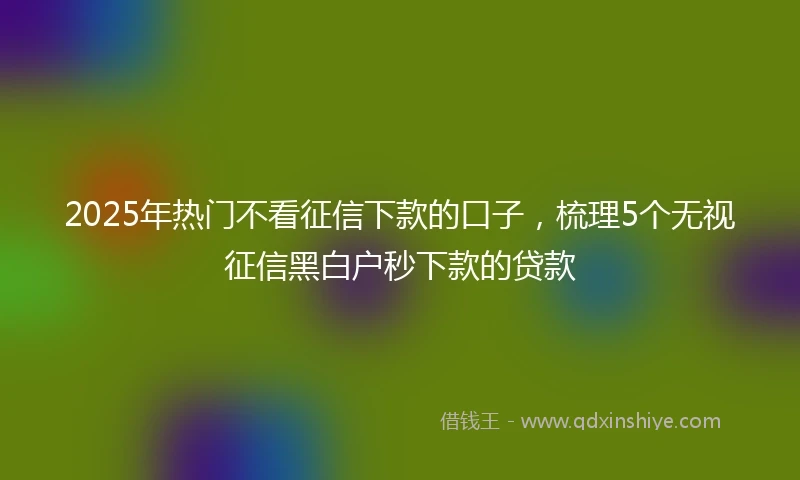 2025年热门不看征信下款的口子，梳理5个无视征信黑白户秒下款的贷款