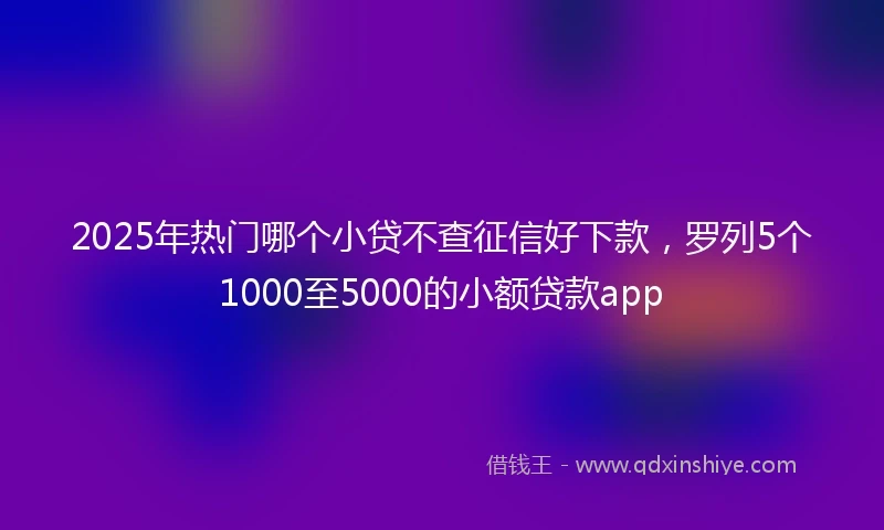 2025年热门哪个小贷不查征信好下款，罗列5个1000至5000的小额贷款app