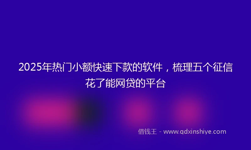 2025年热门小额快速下款的软件，梳理五个征信花了能网贷的平台
