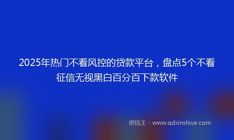 2025年热门不看风控的贷款平台，盘点5个不看征信无视黑白百分百下款软件