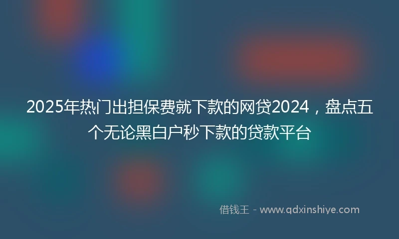 2025年热门出担保费就下款的网贷2024，盘点五个无论黑白户秒下款的贷款平台