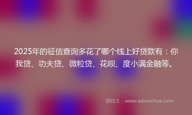 2025年的征信查询多花了哪个线上好贷款有：你我贷、功夫贷、微粒贷、花呗、度小满金融等。