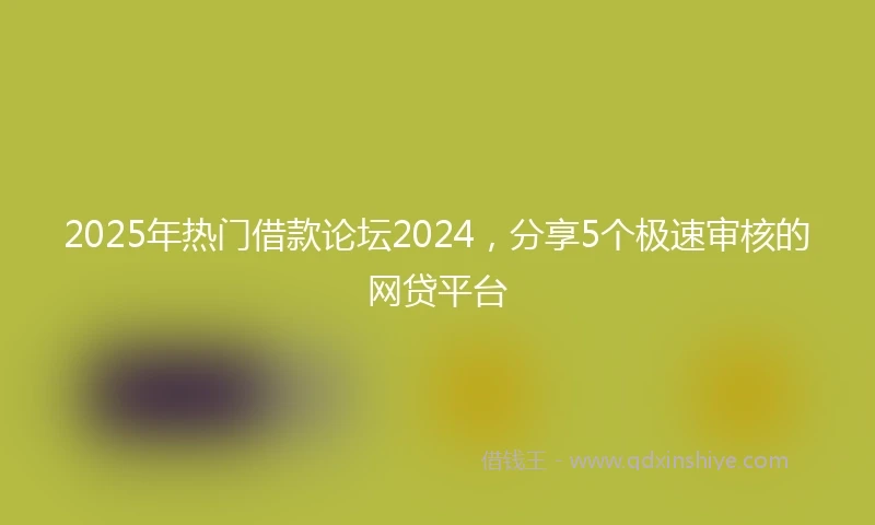 2025年热门借款论坛2024，分享5个极速审核的网贷平台