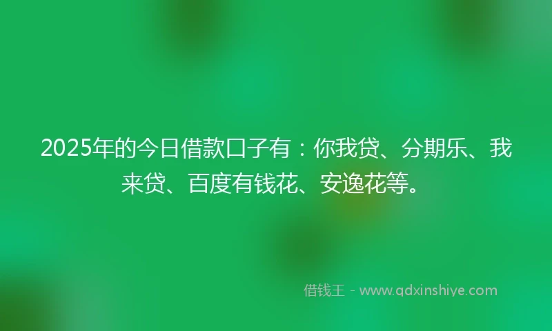 2025年的今日借款口子有：你我贷、分期乐、我来贷、百度有钱花、安逸花等。
