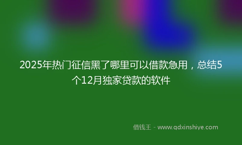 2025年热门征信黑了哪里可以借款急用，总结5个12月独家贷款的软件