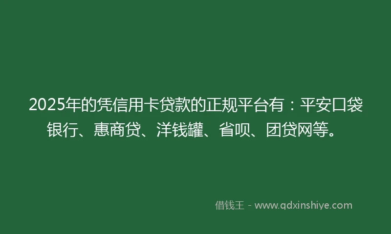 2025年的凭信用卡贷款的正规平台有：平安口袋银行、惠商贷、洋钱罐、省呗、团贷网等。