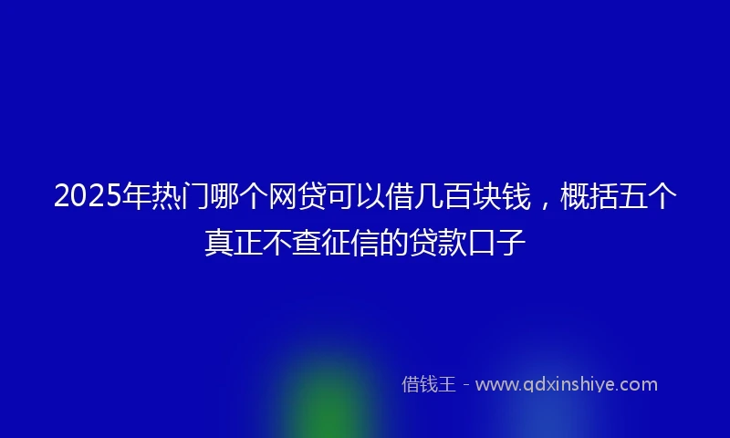 2025年热门哪个网贷可以借几百块钱，概括五个真正不查征信的贷款口子