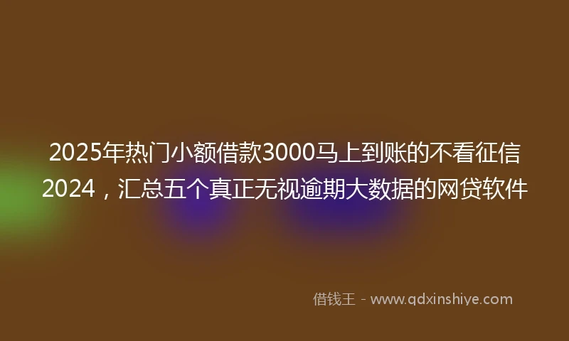 2025年热门小额借款3000马上到账的不看征信2024，汇总五个真正无视逾期大数据的网贷软件
