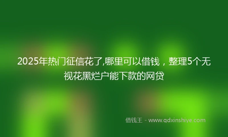 2025年热门征信花了,哪里可以借钱，整理5个无视花黑烂户能下款的网贷