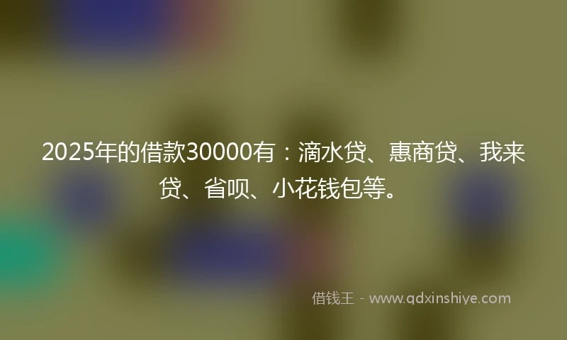 2025年的借款30000有：滴水贷、惠商贷、我来贷、省呗、小花钱包等。
