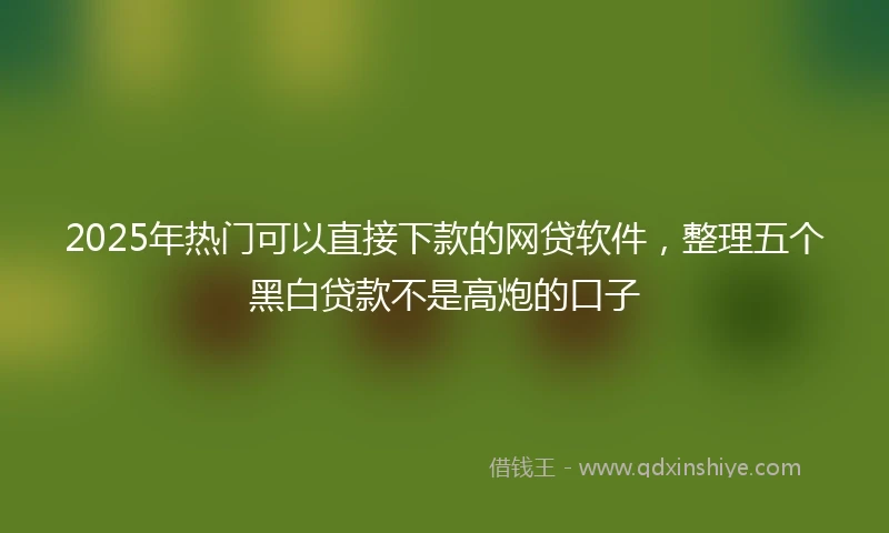 2025年热门可以直接下款的网贷软件，整理五个黑白贷款不是高炮的口子