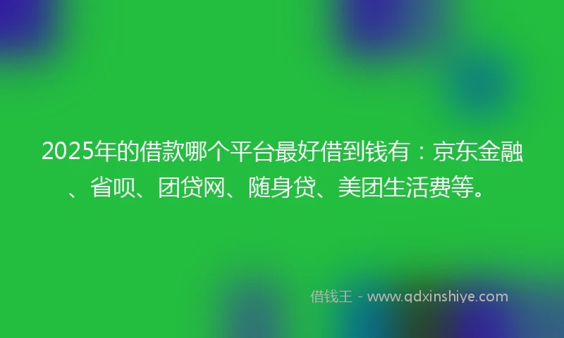 2025年的借款哪个平台最好借到钱有：京东金融、省呗、团贷网、随身贷、美团生活费等。