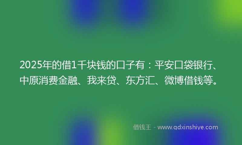 2025年的借1千块钱的口子有：平安口袋银行、中原消费金融、我来贷、东方汇、微博借钱等。
