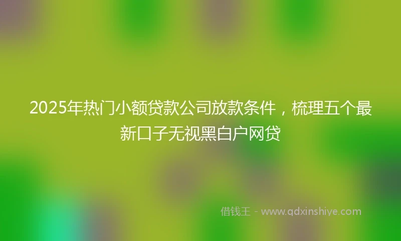 2025年热门小额贷款公司放款条件，梳理五个最新口子无视黑白户网贷