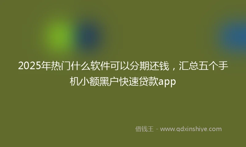 2025年热门什么软件可以分期还钱，汇总五个手机小额黑户快速贷款app