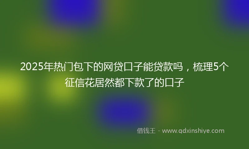 2025年热门包下的网贷口子能贷款吗，梳理5个征信花居然都下款了的口子