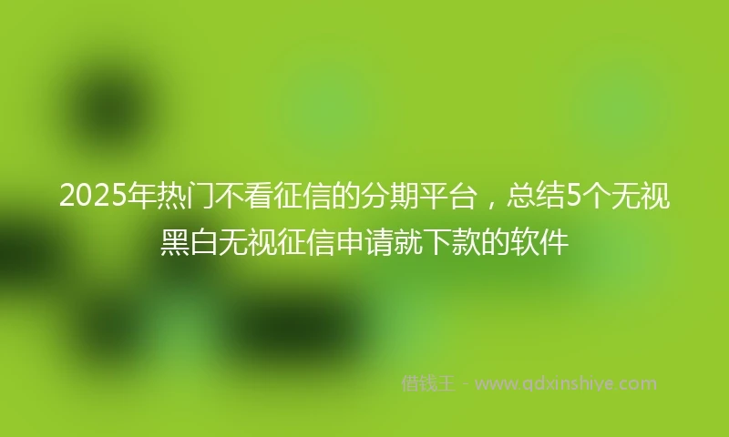 2025年热门不看征信的分期平台，总结5个无视黑白无视征信申请就下款的软件
