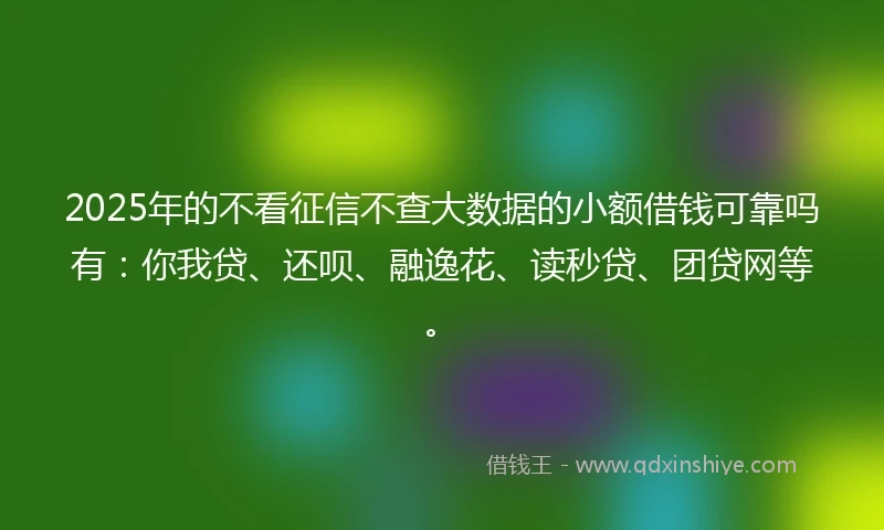 2025年的不看征信不查大数据的小额借钱可靠吗有：你我贷、还呗、融逸花、读秒贷、团贷网等。