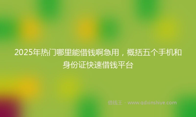 2025年热门哪里能借钱啊急用，概括五个手机和身份证快速借钱平台
