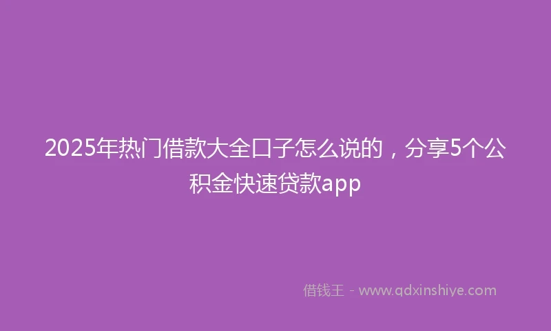 2025年热门借款大全口子怎么说的，分享5个公积金快速贷款app