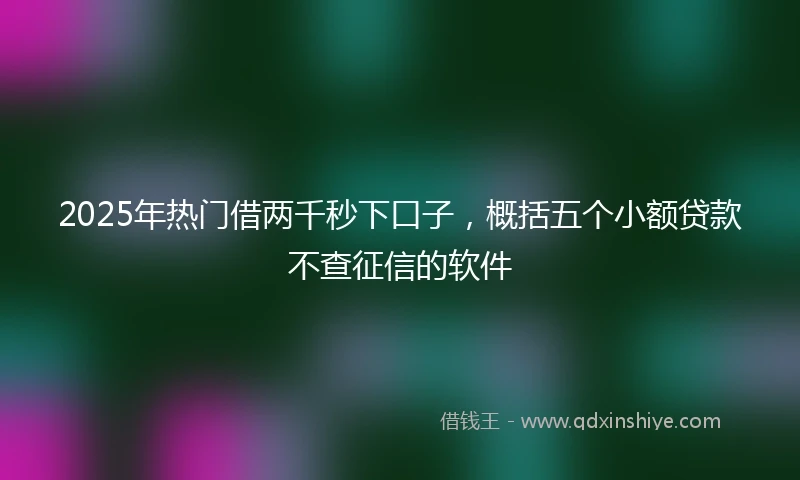 2025年热门借两千秒下口子，概括五个小额贷款不查征信的软件