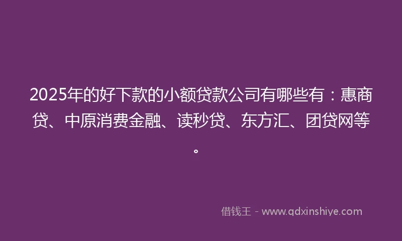 2025年的好下款的小额贷款公司有哪些有：惠商贷、中原消费金融、读秒贷、东方汇、团贷网等。