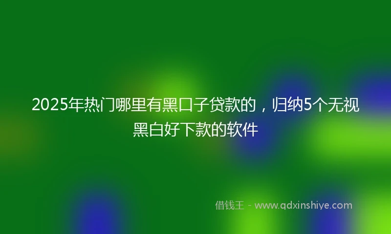 2025年热门哪里有黑口子贷款的，归纳5个无视黑白好下款的软件