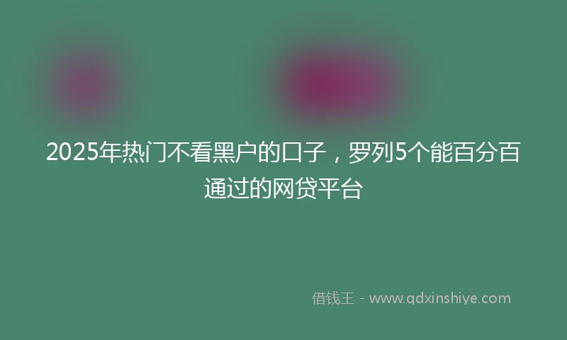 2025年热门不看黑户的口子，罗列5个能百分百通过的网贷平台