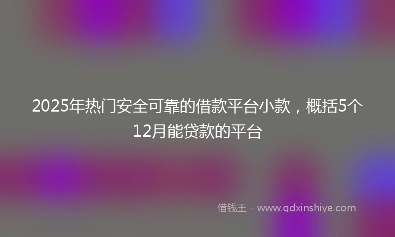 2025年热门安全可靠的借款平台小款，概括5个12月能贷款的平台