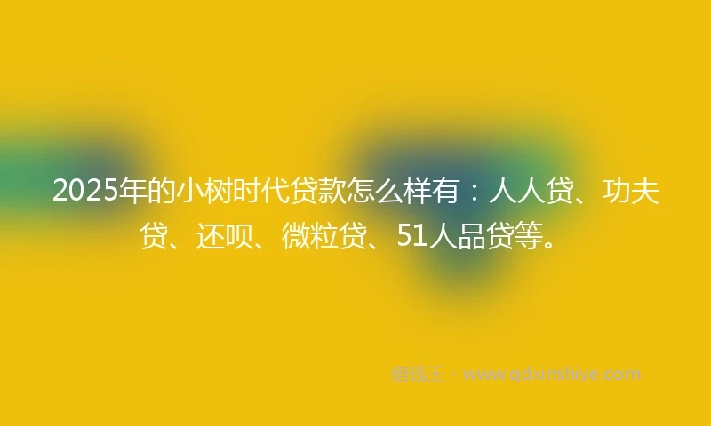 2025年的小树时代贷款怎么样有：人人贷、功夫贷、还呗、微粒贷、51人品贷等。