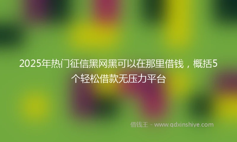 2025年热门征信黑网黑可以在那里借钱，概括5个轻松借款无压力平台