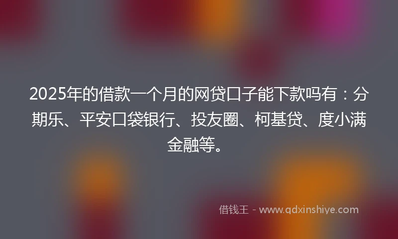2025年的借款一个月的网贷口子能下款吗有：分期乐、平安口袋银行、投友圈、柯基贷、度小满金融等。