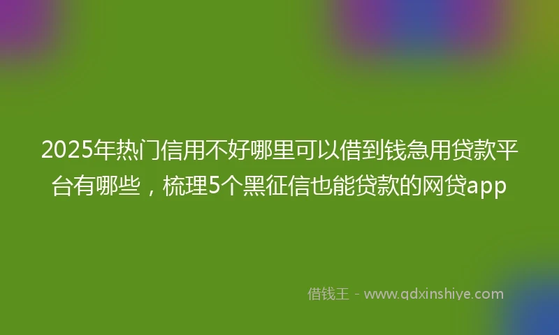 2025年热门信用不好哪里可以借到钱急用贷款平台有哪些，梳理5个黑征信也能贷款的网贷app