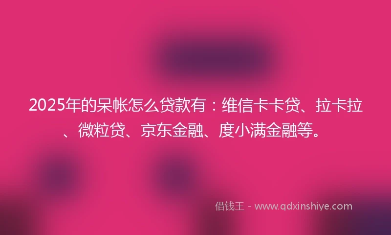 2025年的呆帐怎么贷款有：维信卡卡贷、拉卡拉、微粒贷、京东金融、度小满金融等。