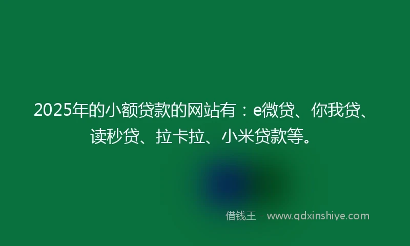 2025年的小额贷款的网站有：e微贷、你我贷、读秒贷、拉卡拉、小米贷款等。